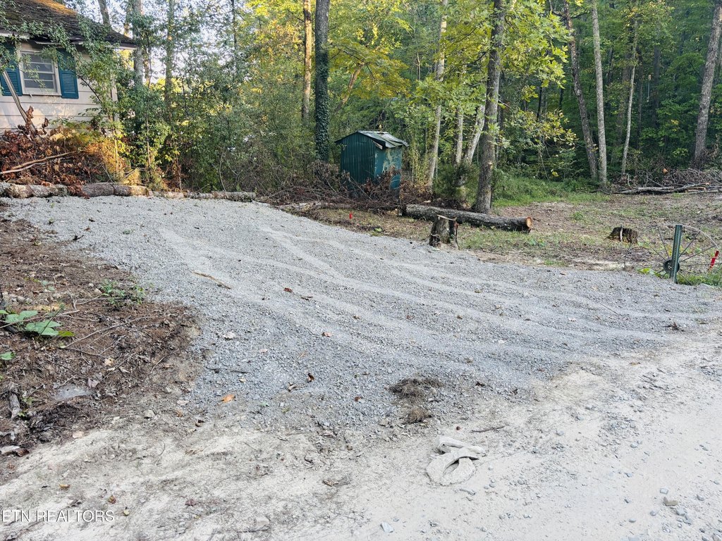 Picture 8