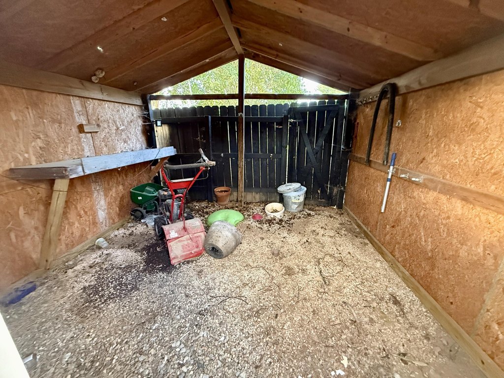 Picture 11