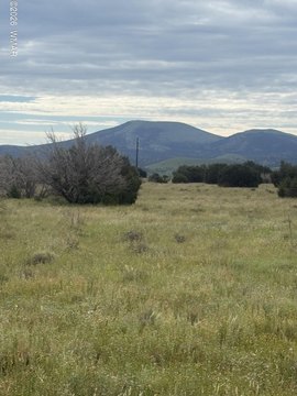 Land, Vernon, AZ