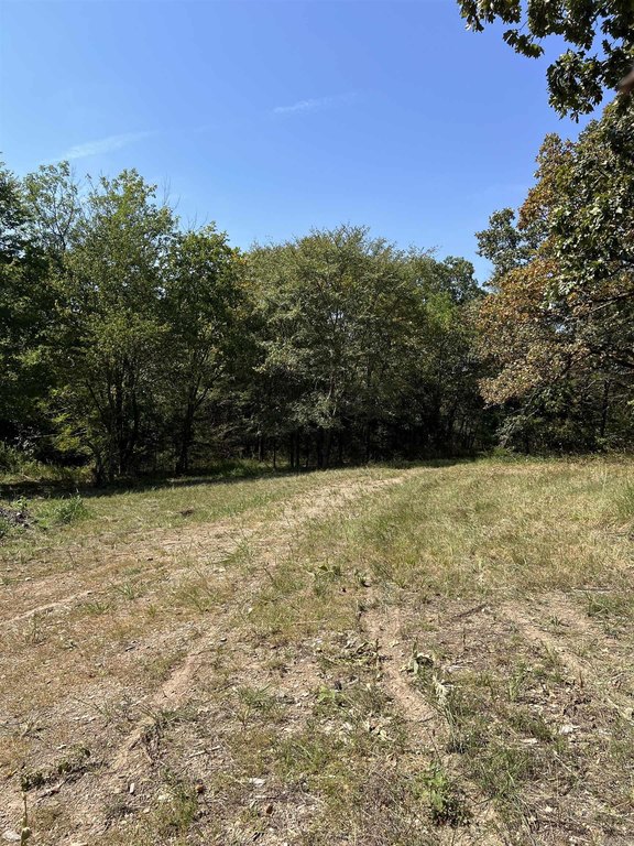 Picture 20
