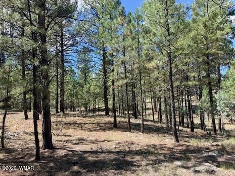 Land, Happy Jack, AZ