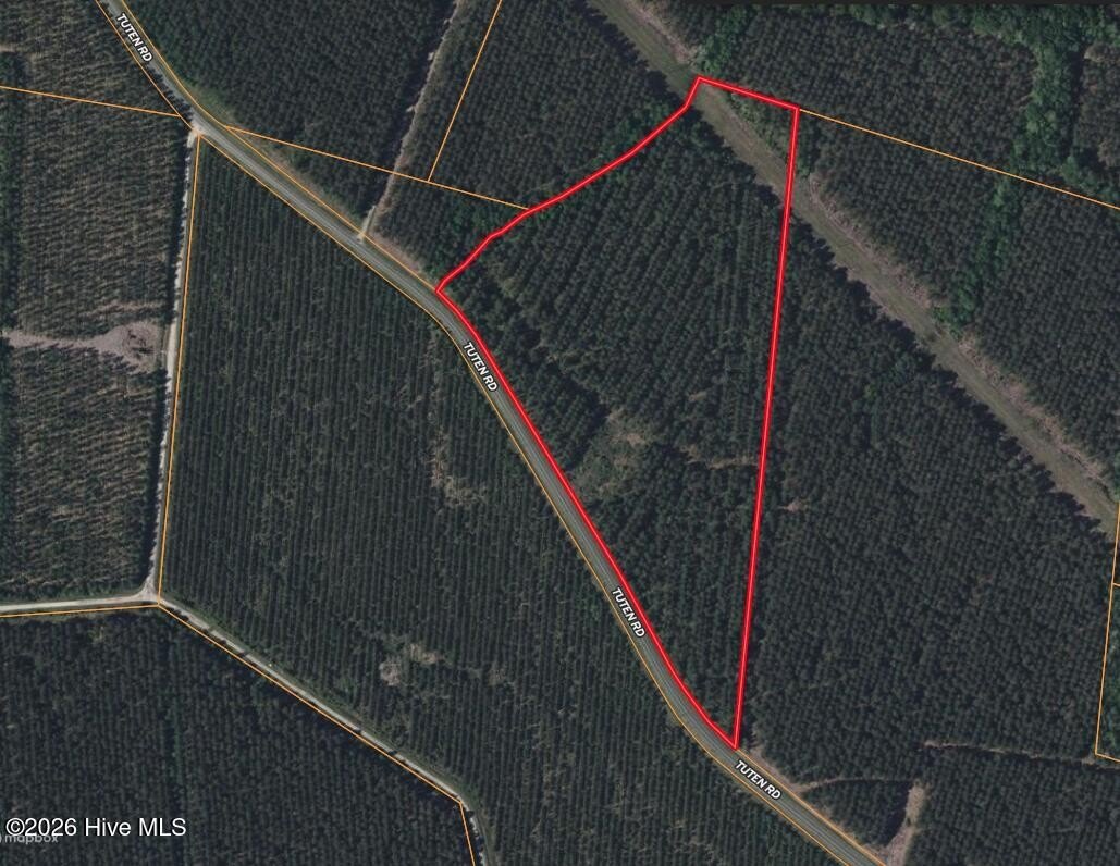 Aurora Timber Tract For Sale