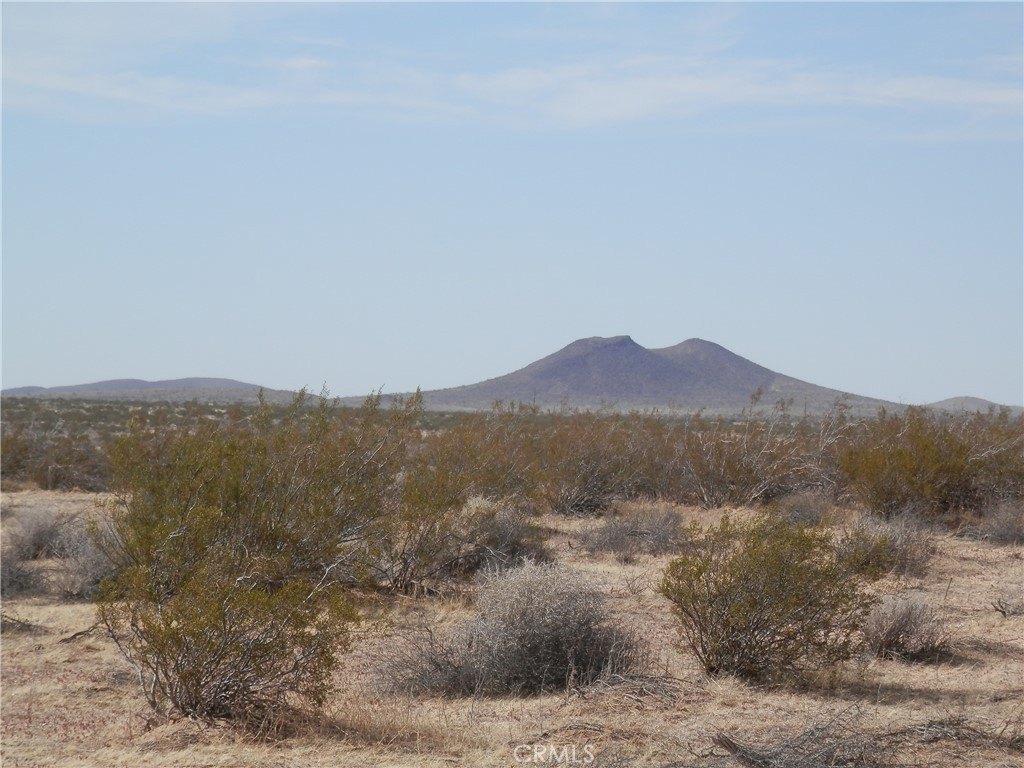 Picture 8