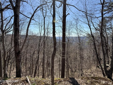 LAND - Monterey, TN