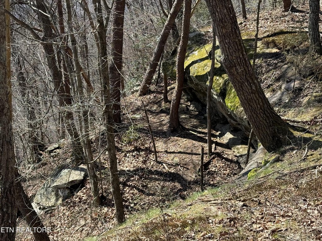 Picture 3
