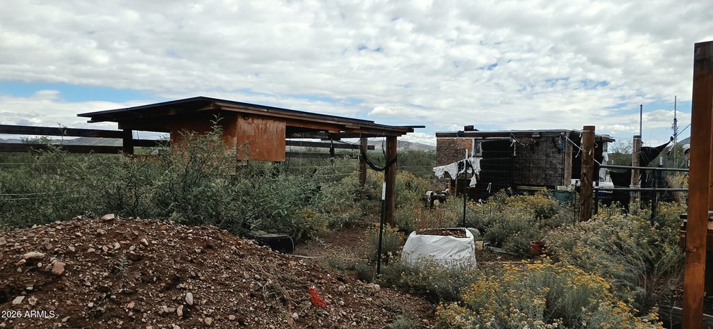 Picture 4