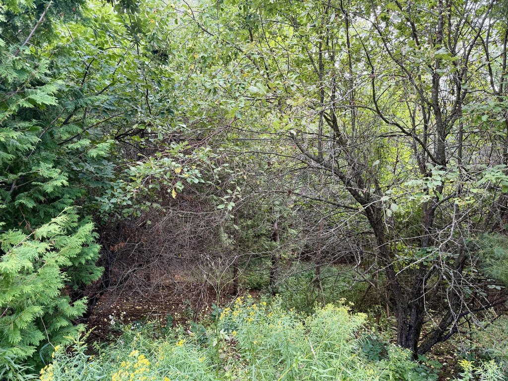 Picture 4