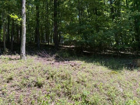 LAND - Buckhannon, WV