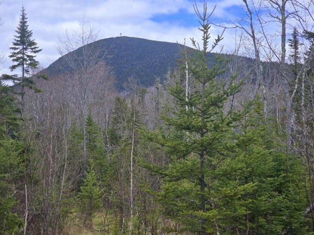 Picture 8