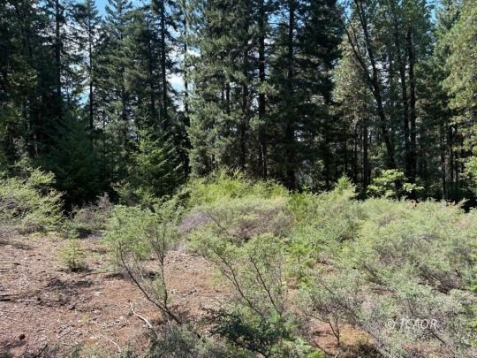 Shasta Lake 40-Acre Land Parcel