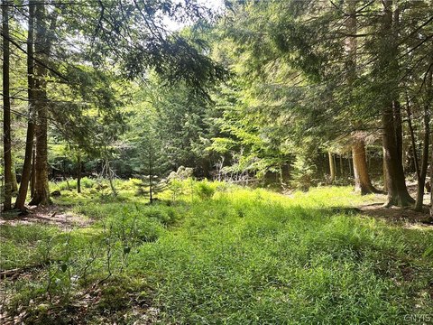 Land, Inlet, NY