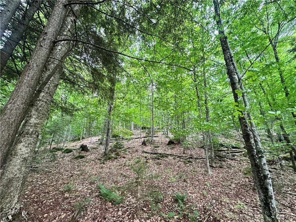 Picture 4