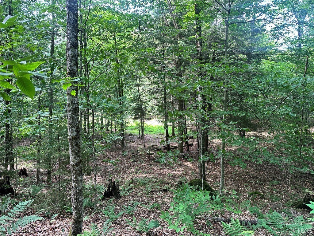Picture 3