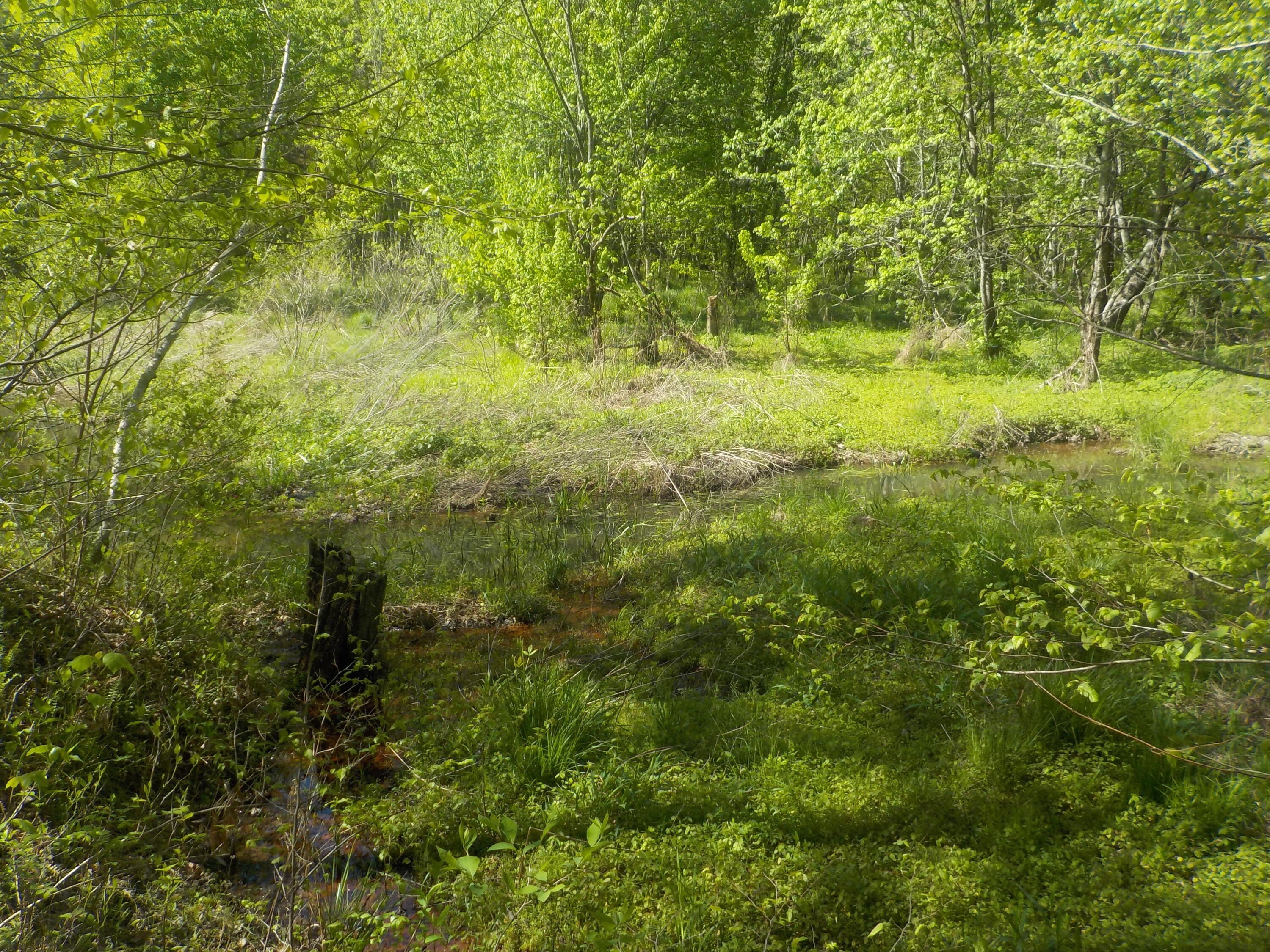 Unrestricted Acreage Near Cherokee Lake