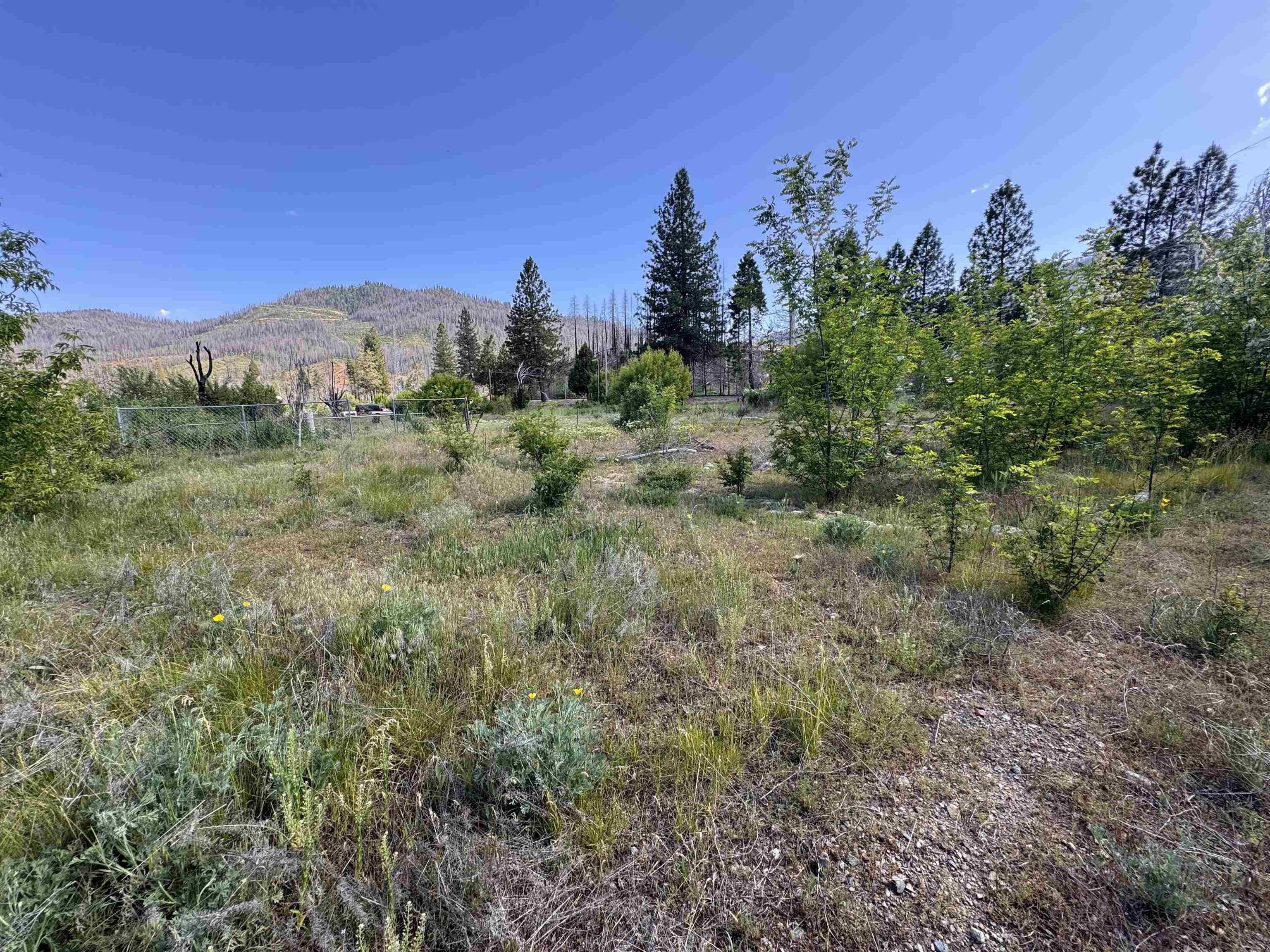 Land For Sale Greenville, CA