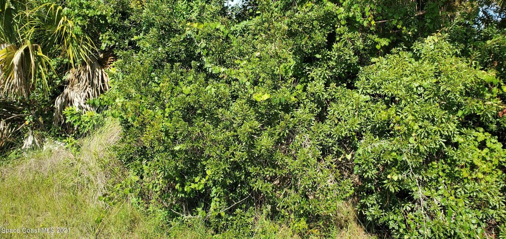 Picture 2