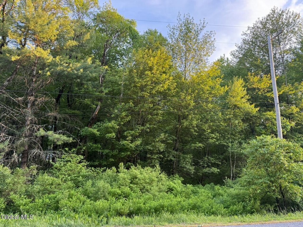 Picture 6
