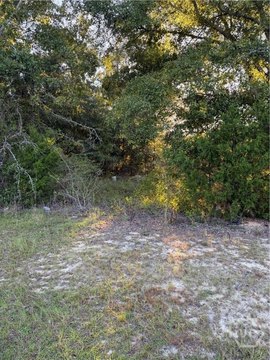 Land, Swainsboro, GA