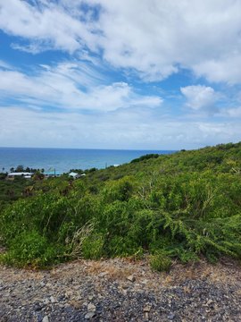 Land, St. Croix, VI