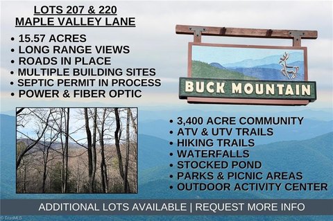 15+ Acres in Buck Mountain
