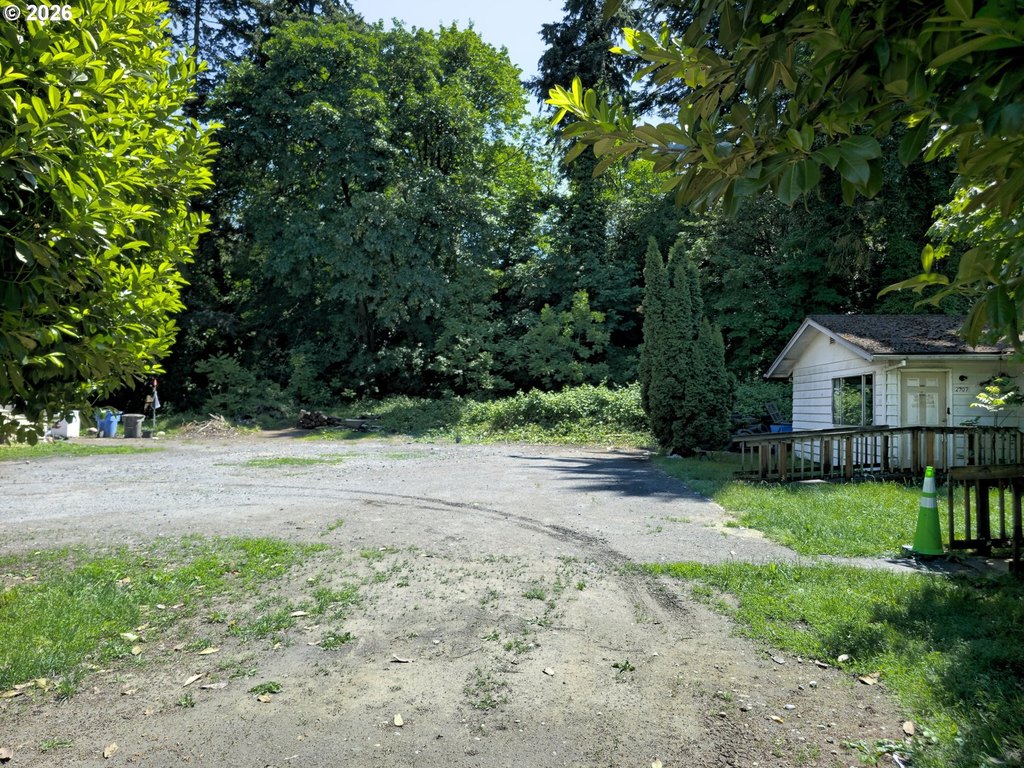 Picture 8