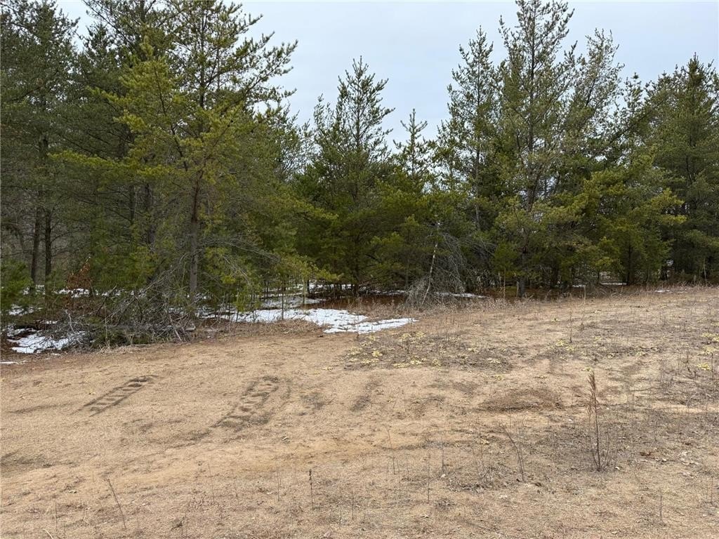 Picture 4