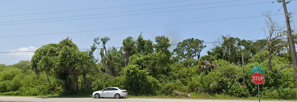 Picture 3