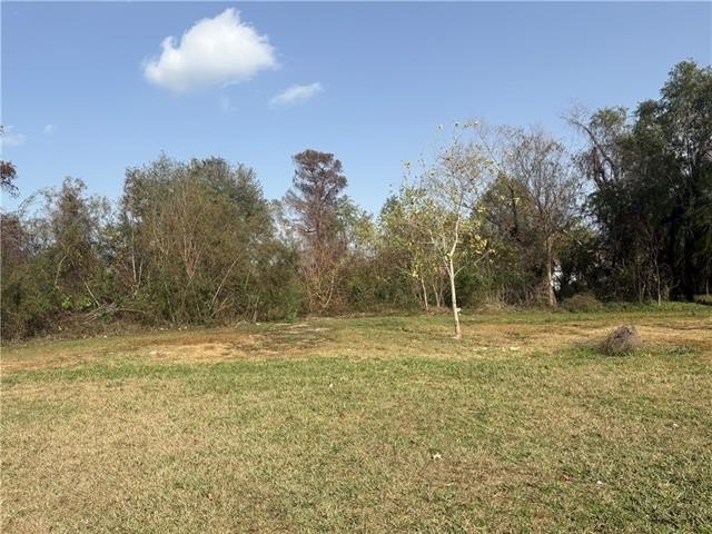 Picture 3