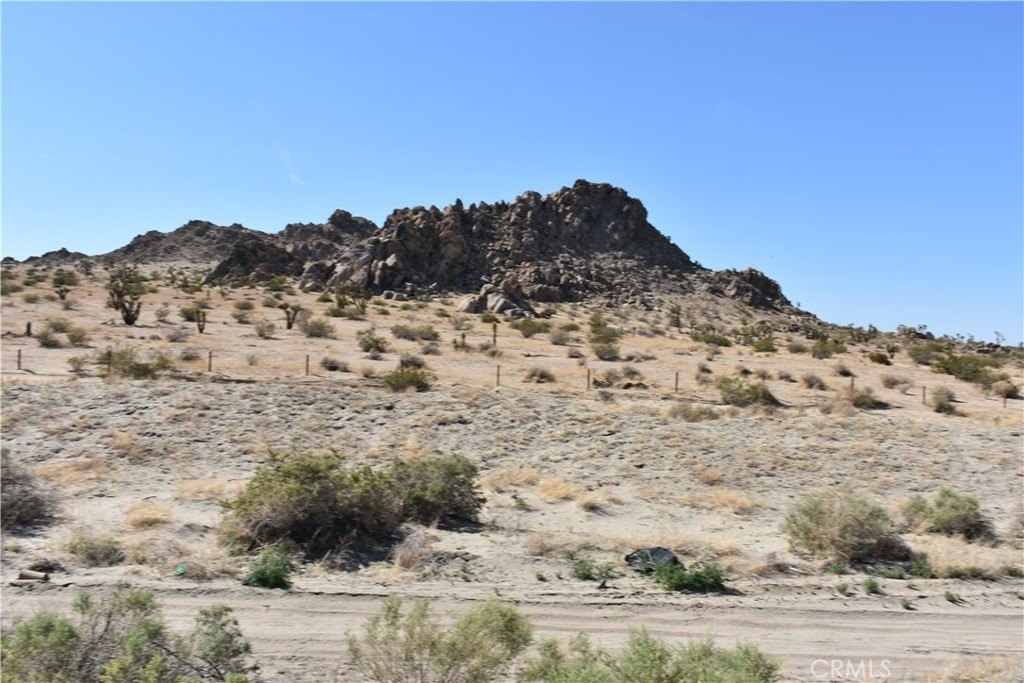 Picture 3