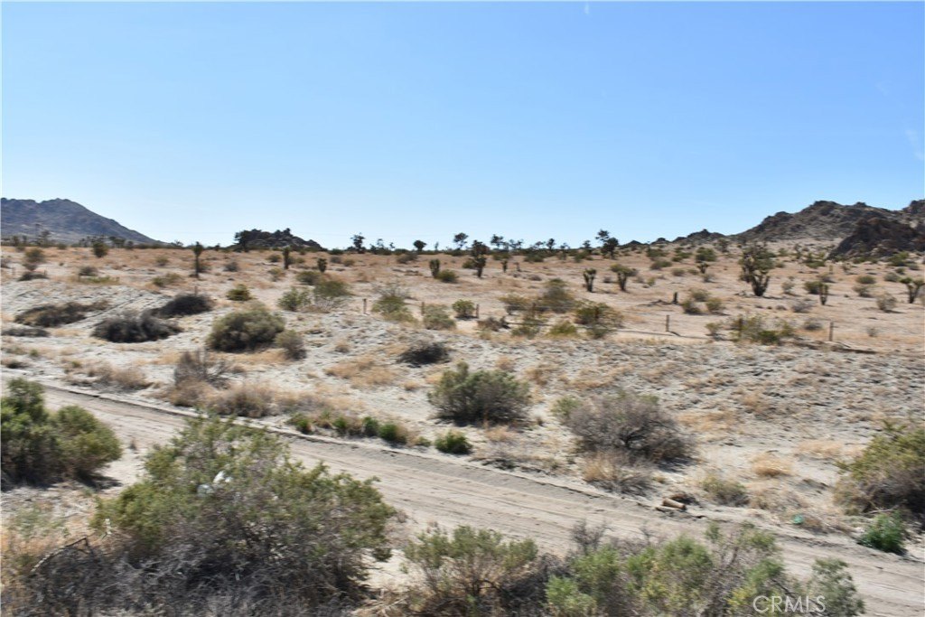 Picture 5