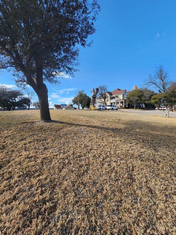 Picture 16