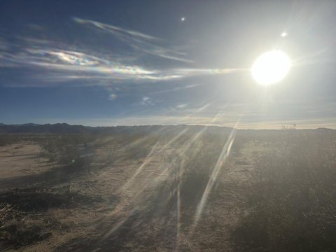 Joshua Tree Land Opportunity