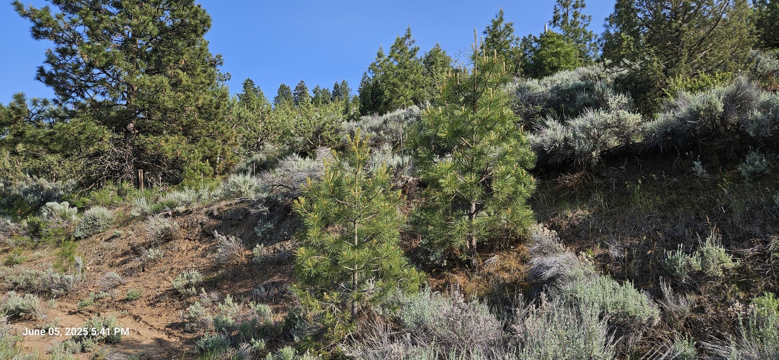 Five Acres with Lake Views