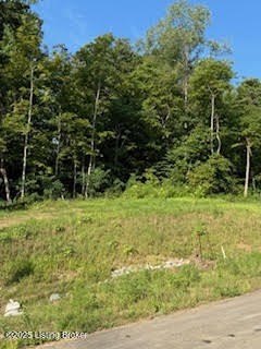 Wooded Lot in Sycamore Run