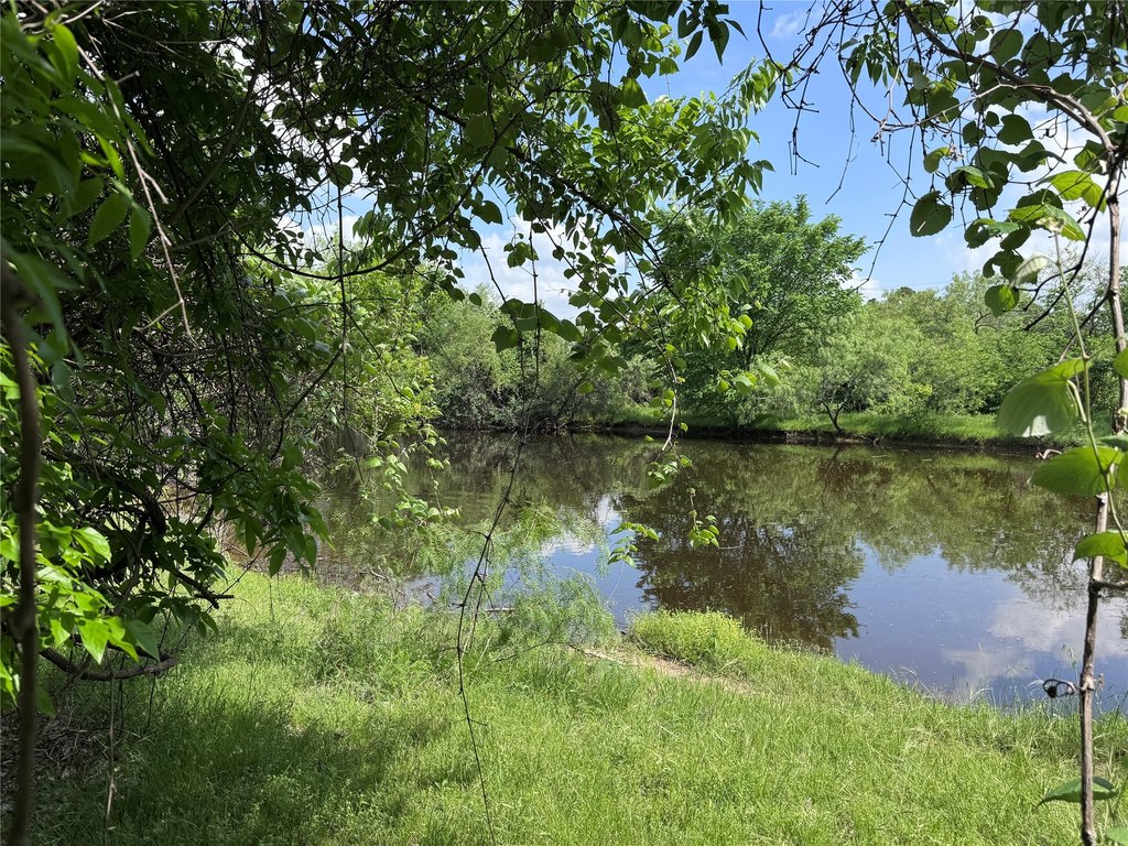 Picture 21