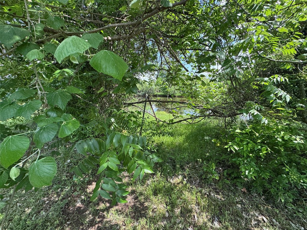 Picture 19