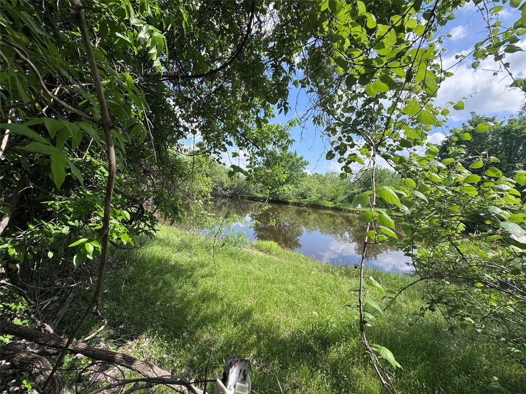 Picture 20