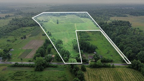 Blueberry Farm on 54 Acres