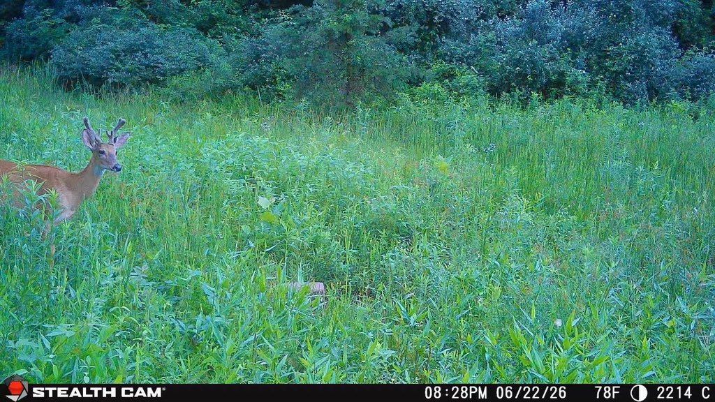 Picture 36