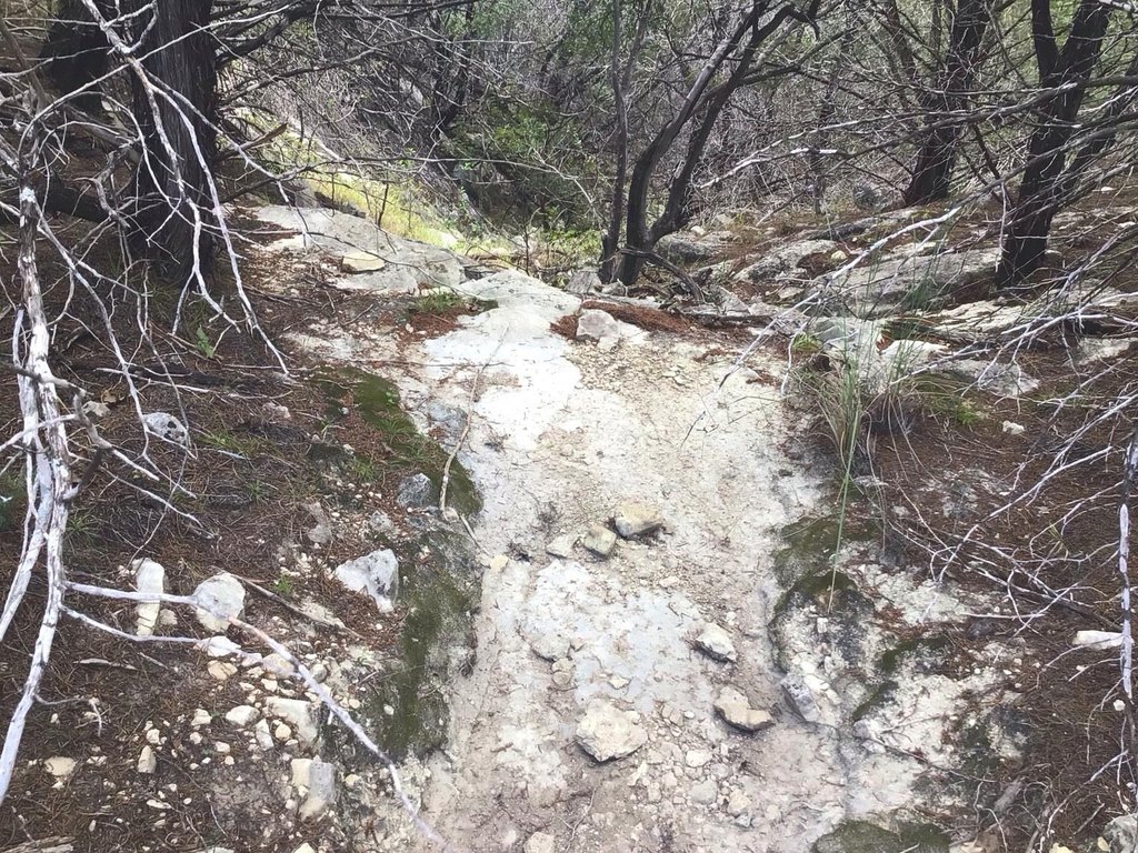 Picture 5
