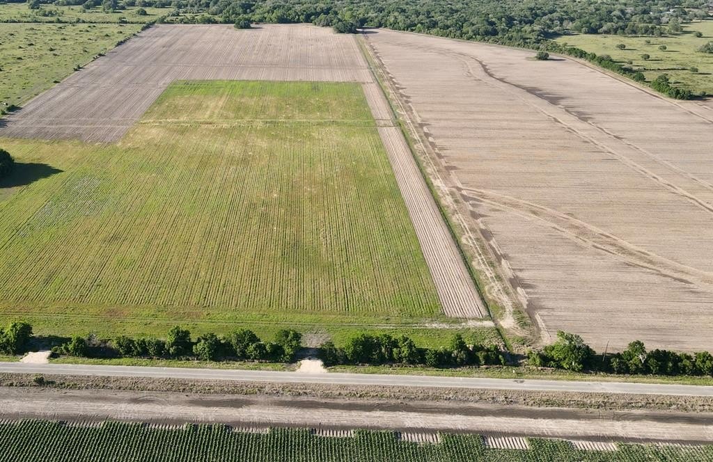 10 Acres in Blessing, TX