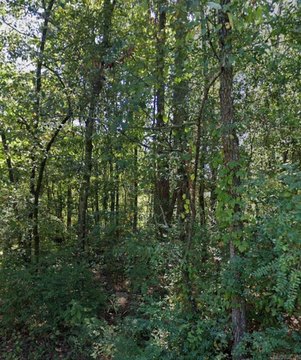 Pine Bluff Land For Sale