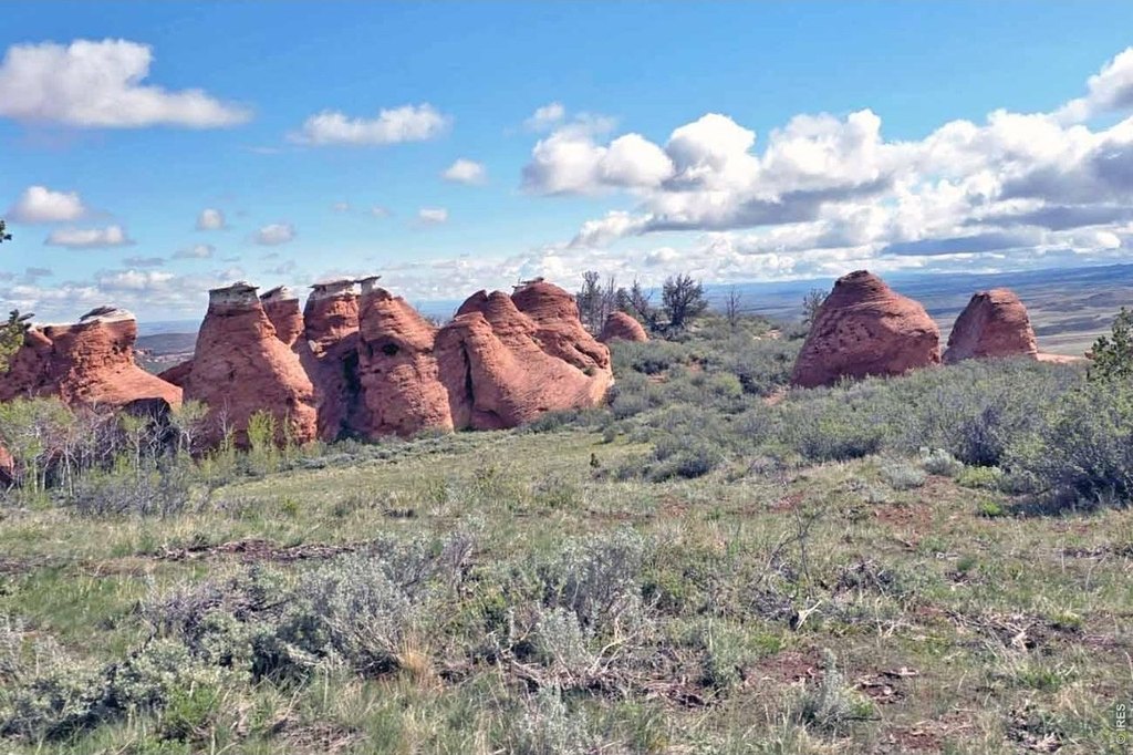 Picture 13