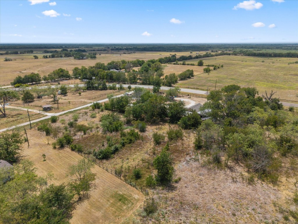 Picture 14