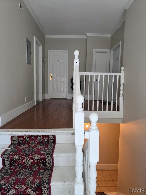 Picture 17