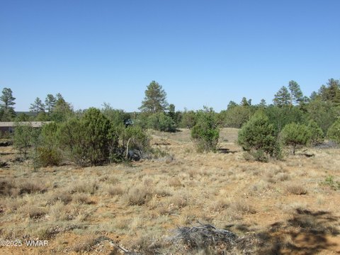 Pinedale, AZ Land Parcel