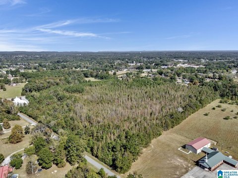 LAND - CLANTON, AL