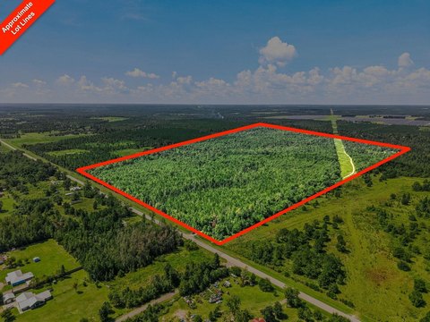 Hunting Land with Highway Frontage