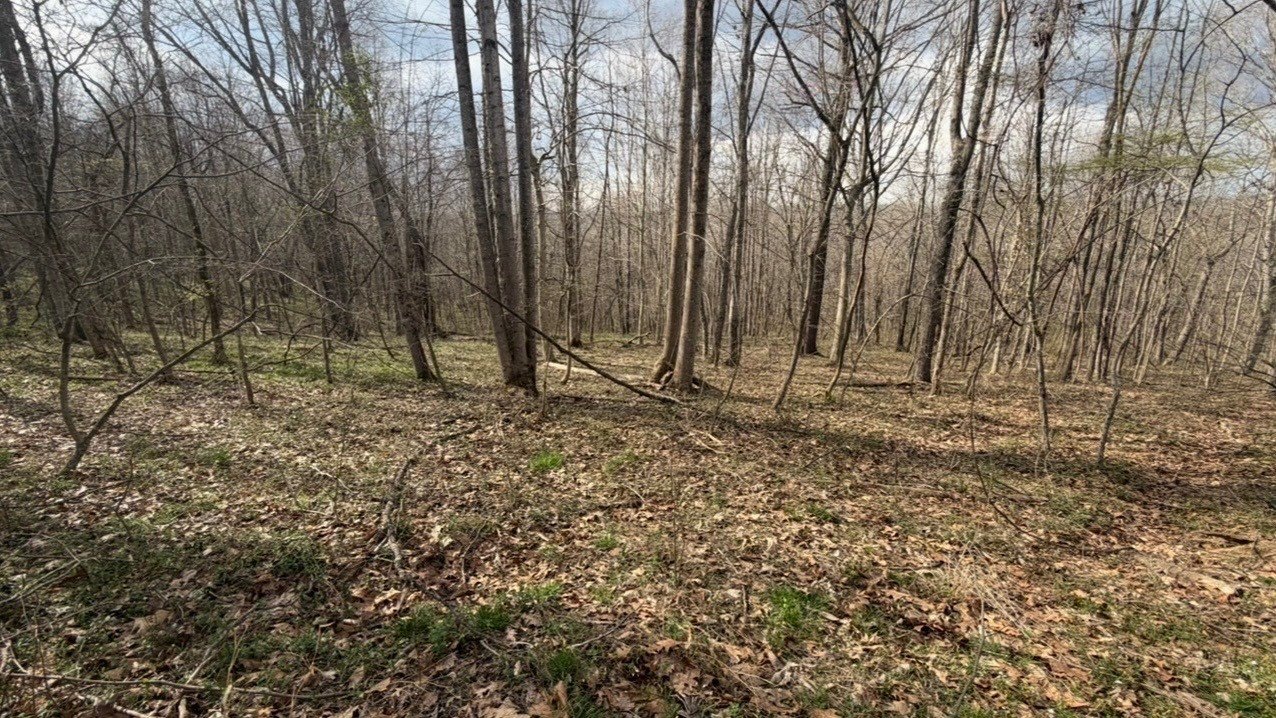 Thurman, Ohio Wooded Land Parcel