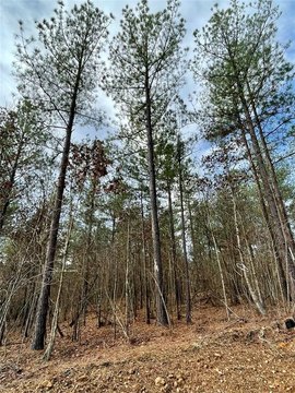 LAND - Broken Bow, OK